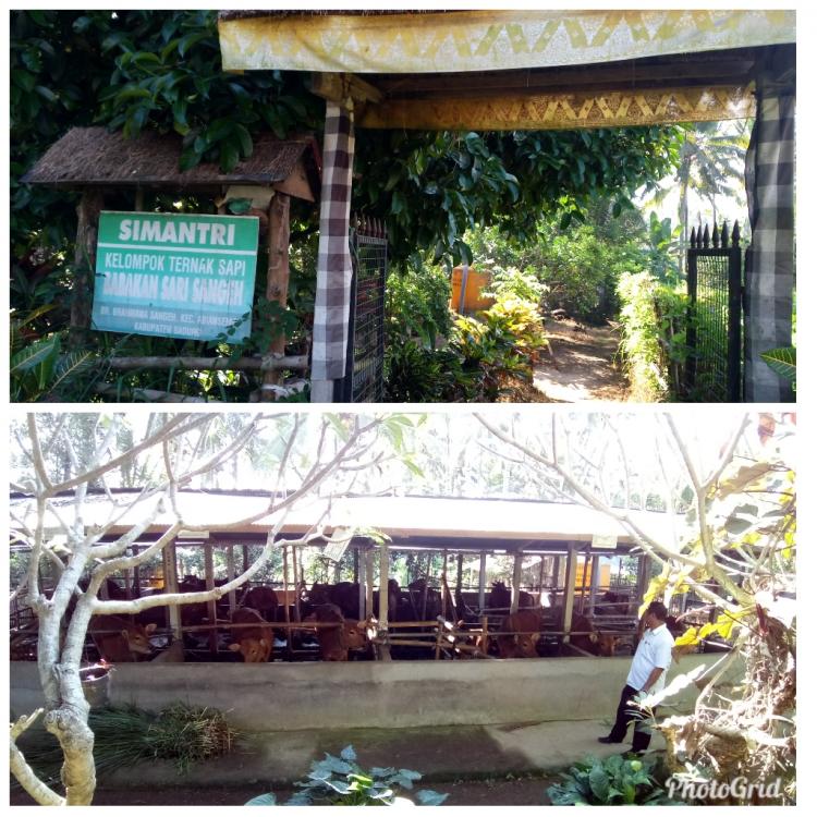 SIMANTRI BABAKAN SARI SANGEH