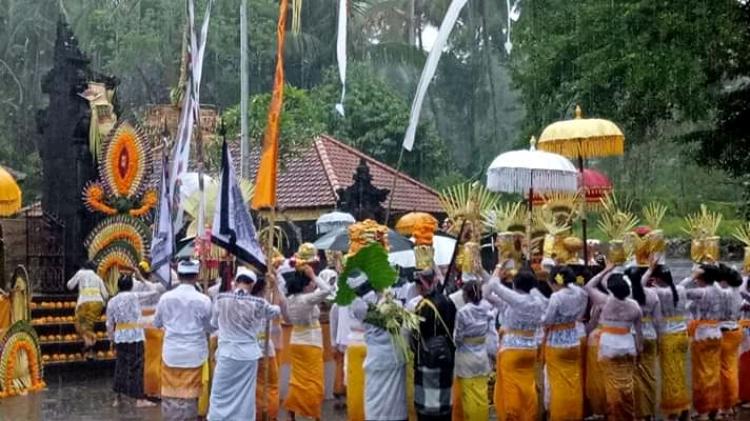 SRADHA BAKTI BANJAR MULUK BABI  DIBAWAH GUYURAN HUJAN