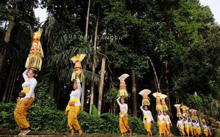 TRADISI MAPEED DI PURA PUCAK SARI SANGEH