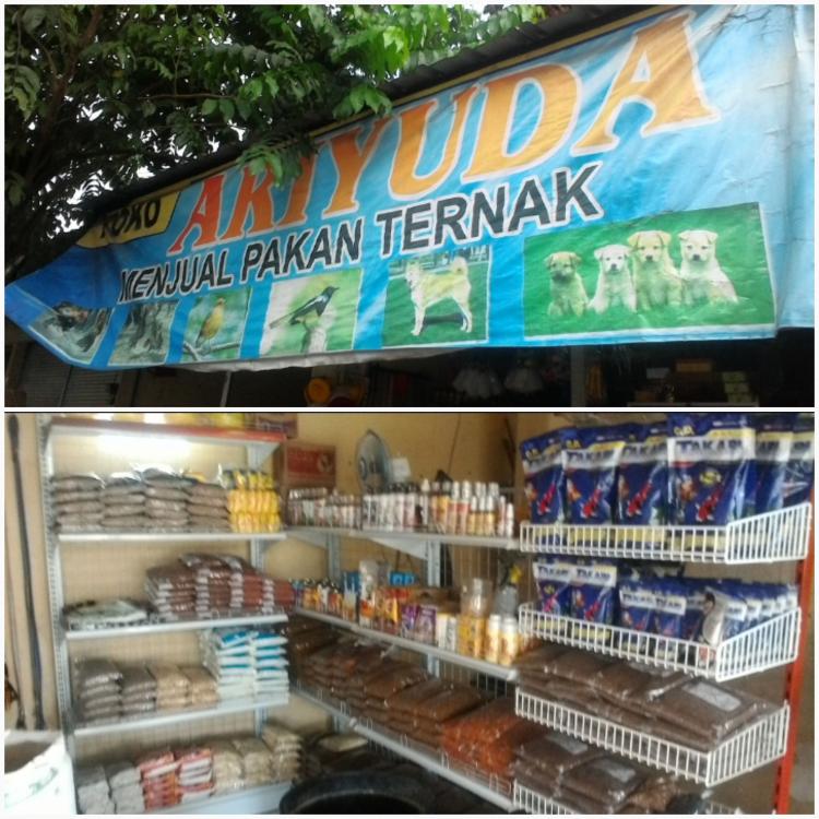 Ari Yuda Ternak, Mencari Keuntungan Dari Pecinta Burung