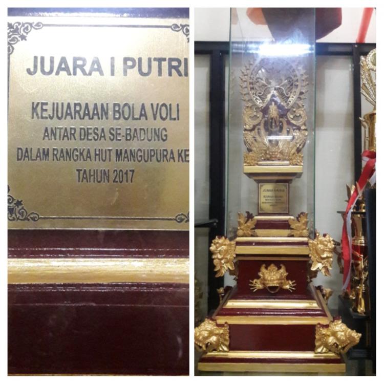 BUKAN SEPERTI CABE - CABEAN, TAPI BERHASIL MERAIH PRESTASI UNTUK DESA SEDANG