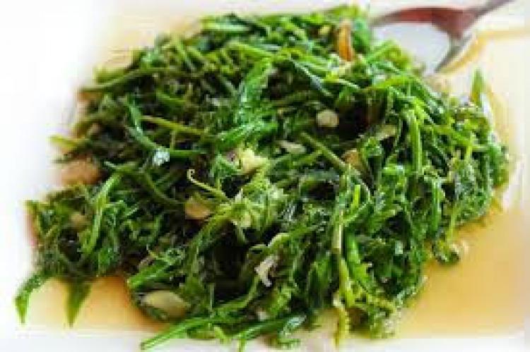 Belajar Membuat “Jukut Paku” Hidangan Tradisional Khas Bali