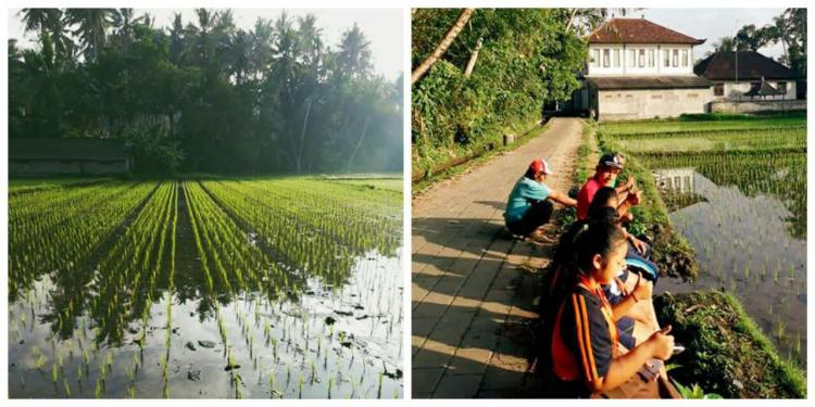 Belajar Peduli Lingkungan Sejak Dini