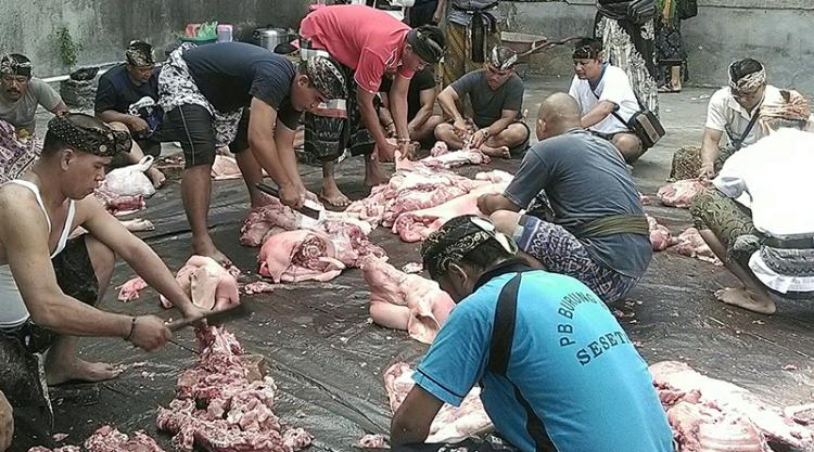 Berbagai Manfaat Kegiatan Nampah Celeng