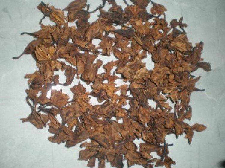 Berserakan Di Pinggir Jalan, Bunga Kamboja Ternyata Mempunyai Nilai Ekonomis