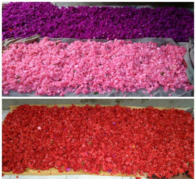 Bunga Pacar Air Yang Basah Bisa Mengakibatkan Kerugian