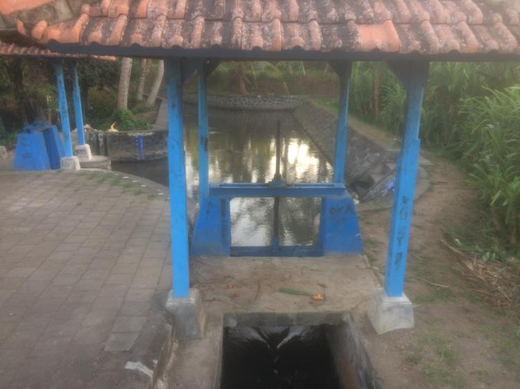 DAM PARIT! SUMBER PENGAIRAN IRIGASI CADANGAN SUBAK CELUK DESA SEDANG