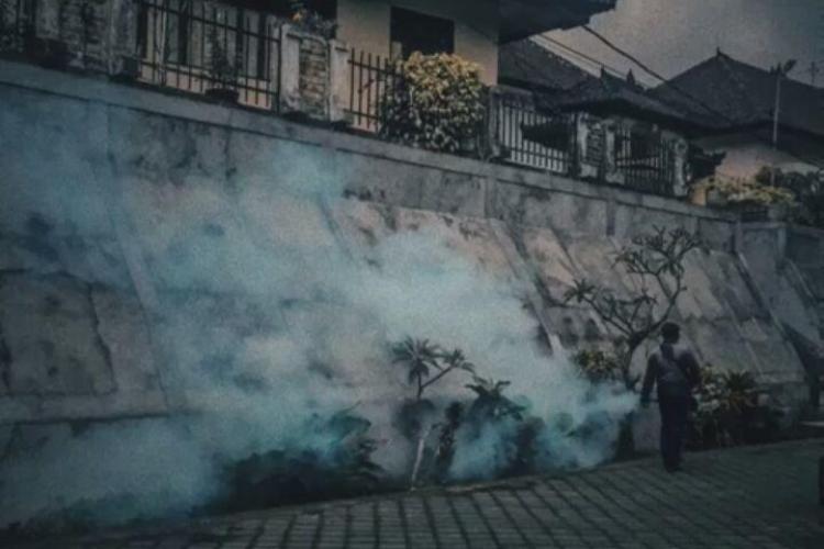 Fogging Sebagai Upaya Untuk Memberantas Nyamuk