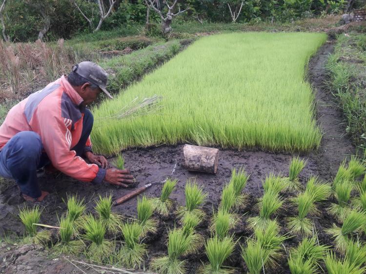 Insting  Dan Keterampilan Menandai Kehalian Seseorang