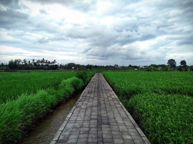JOGING TRACK DAN SURGA TERSEMBUNYI DI DESA SEDANG