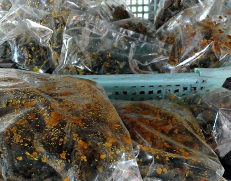 KULINER BALI “LINDUNG”