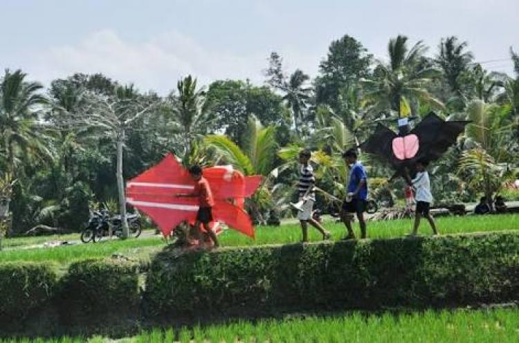 Ketika Musim Layangan Tiba