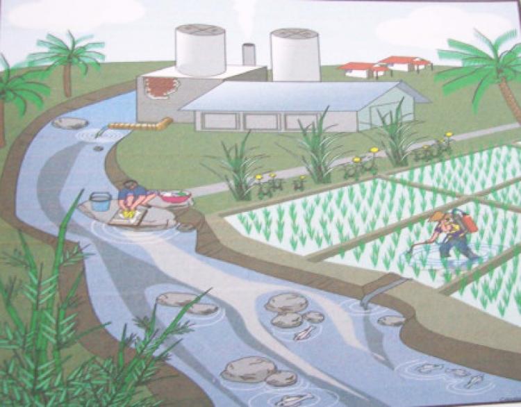 Limbah Detergen ternyata berpengaruh Terhadap Tanaman Petani Dan Biota Air