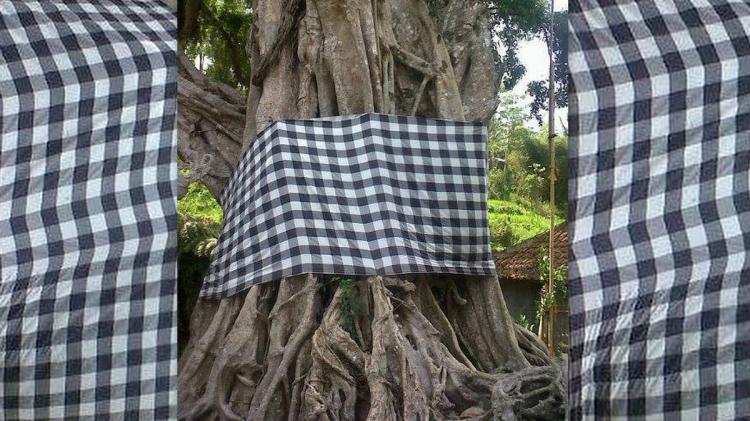 Makna Pohon Beringin Dalam Agama Hindu