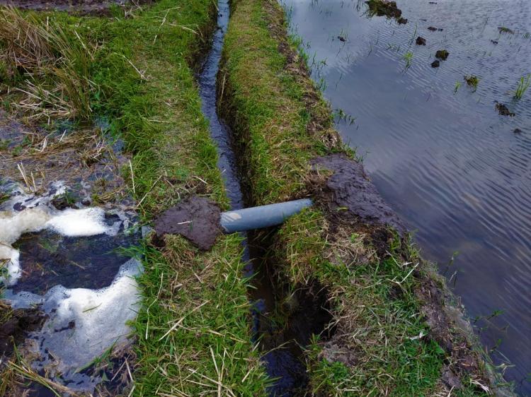 Manfaatkan Paralon kurang dari satu meter, petani subak dledekan saling berbagi air