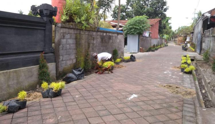 Penanaman Tanaman Masih Terus Dilakukan