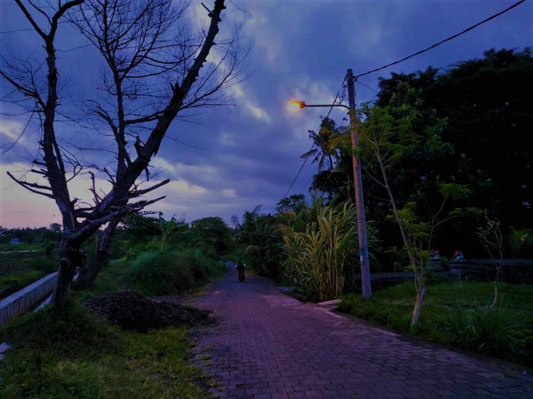 Penerangan ke akses menuju sawah di desa Sedang mudahkan petani yang ingin metengan