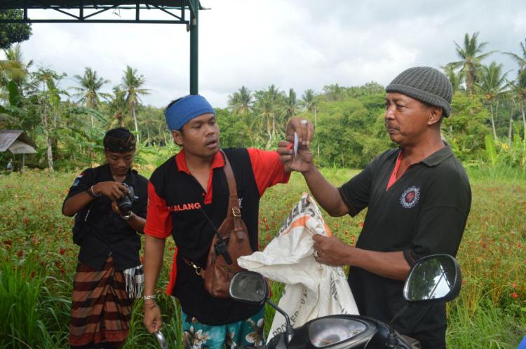 Penimbangan Ikan Peserta Lomba Mancing