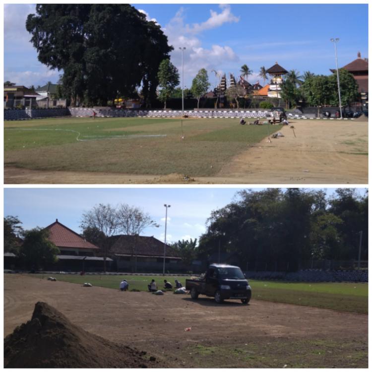 Porsenides Sudah Dekat! Setengah Lapangan I Wayan Geso Desa Sedang Sudah Selesai Ditanami Rumput