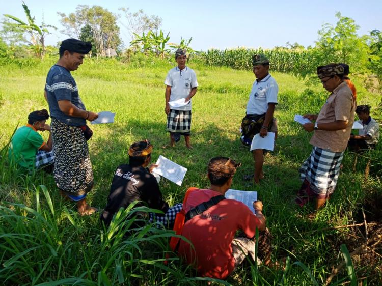 Prejuru Desa Adat Pantau Tanah Desa Berupa Sawah Dan Tegalan
