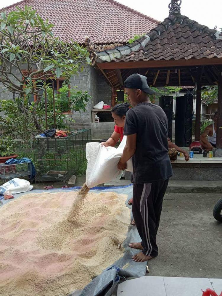 Sambil Menyelam Minum Air, Made Budiasih Manfaatkan Peluang
