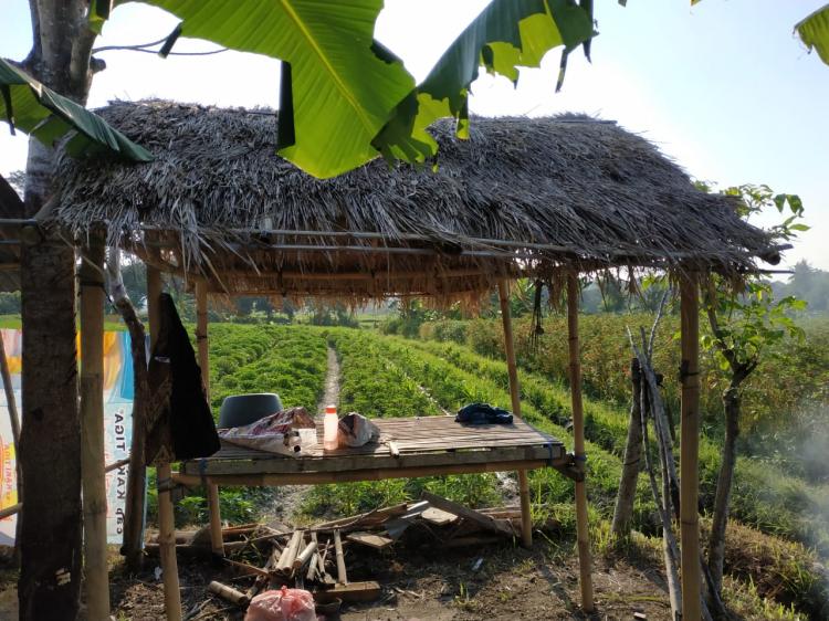 Sebilah Bambu Sudah Cukup Untuk Mendirikan Sebuah Kubu