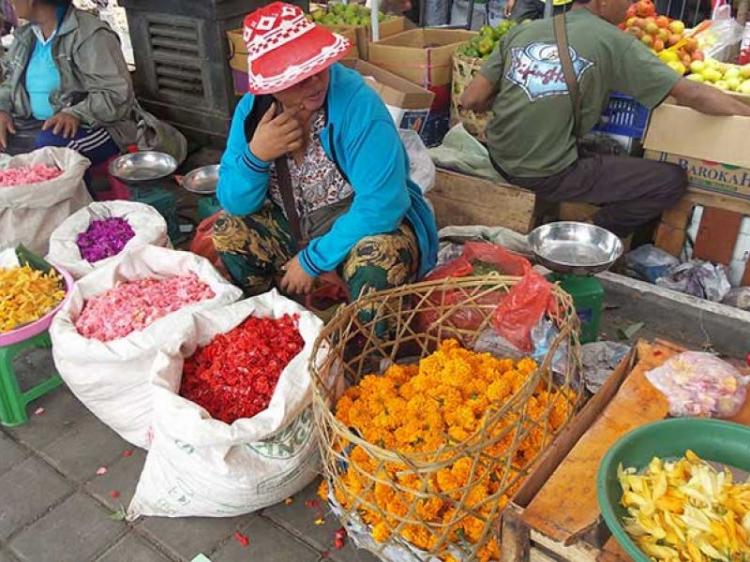 Susahnya Pemasaran Bunga Pacar Air Saat Musim Penghujan