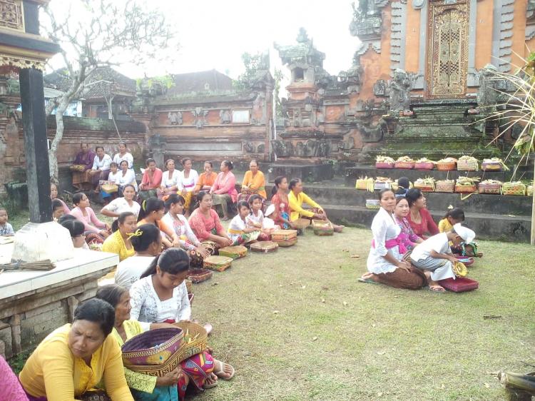 TUMPEK KANDANG, Begini Cara Warga Banjar Kauripan Merayakannya