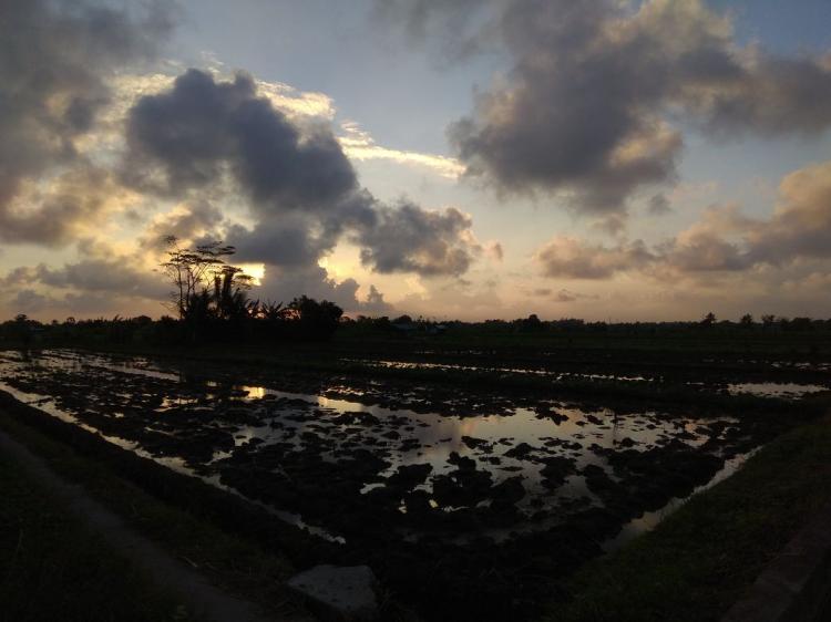 Tidak Kalah Dengan Sawah Dledekan, Sawah Duuran Dauh Juga miliki Panorama Yang Mempesona