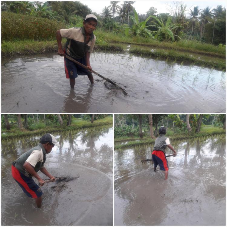 Usia Hanyalah Angka, Berbekal Alat Sederhana Sudah Cukup Untuk Bertani