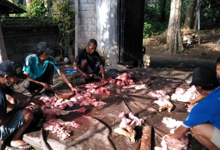 Warga Desa Sedang Lestarikan Tradisi Mepatung