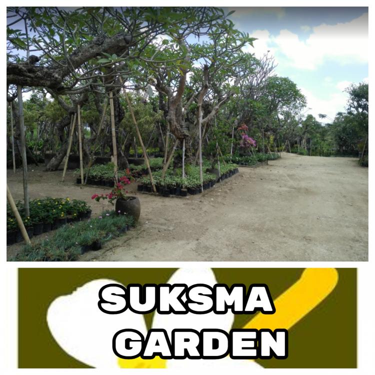 “SUKSMA GARDEN” Jasa Spesialis Lanscape Mempercantik Taman Anda