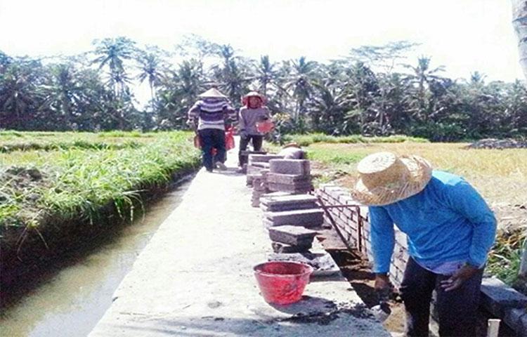 Pembangunan Saluran Irigasi di Subak Karang Dalem Munduk Tegallantang
