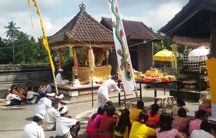 Usai Pembangunan Lumbung, Krama Subak Melaksanakan Ritual Pengulapan Guru Agung dan Piodalan Alit