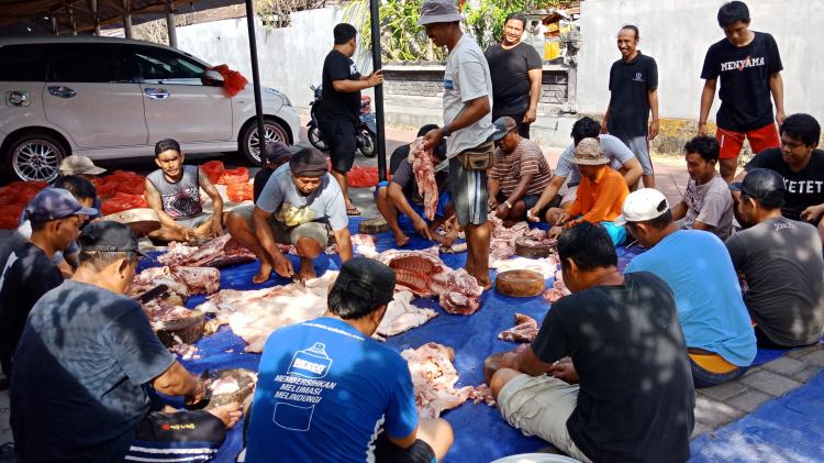 Penampahan Galungan, Dua Ekor Celeng Jumbo Menjadi Korban Warga