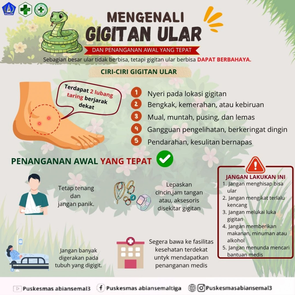 Mengenali Gigitan Ular