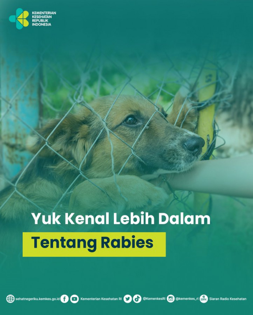 Rabies: Gejala, Penyebab, dan Pencegahan Penyakit Rabies