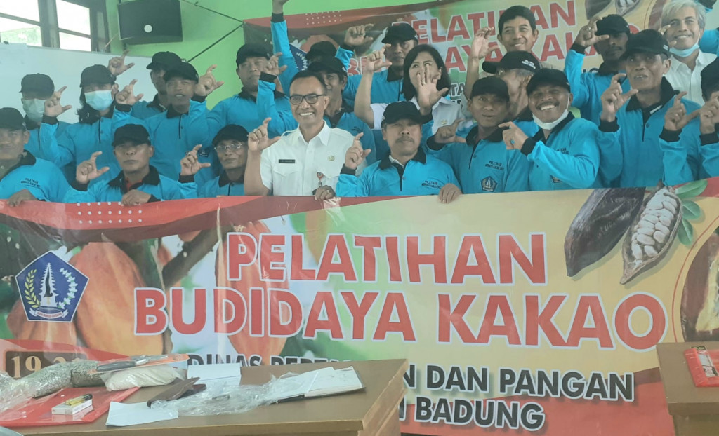 Badung Akan Kembalikan Kejayaan Kakao